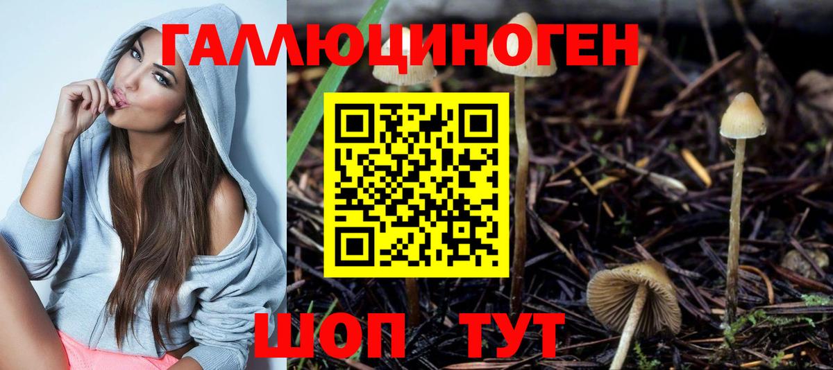 Галлюциногенные грибы ЛСД  наркотики  Родники  Вход с VPN  Галлюциногенные грибы мицелий 